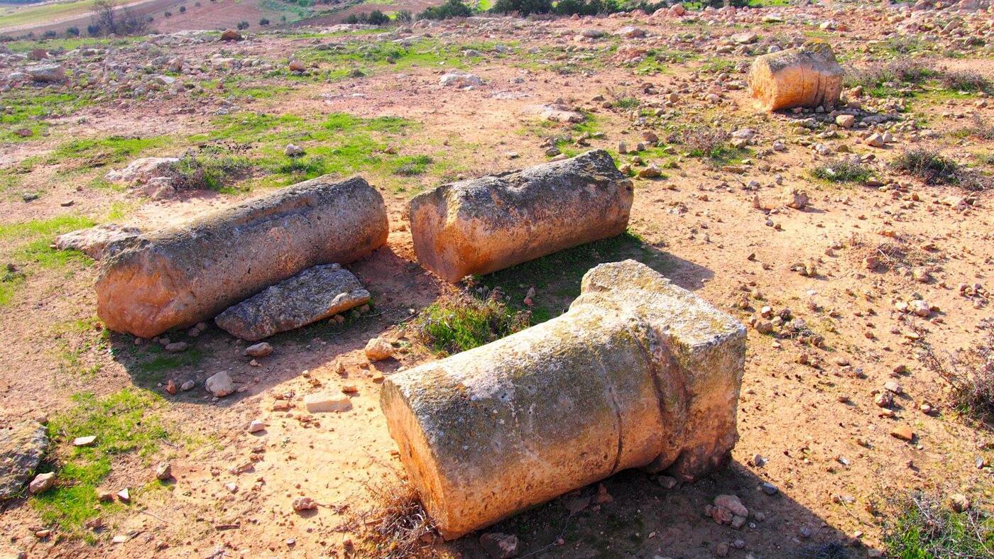 Al-Dhahiriya Municipality