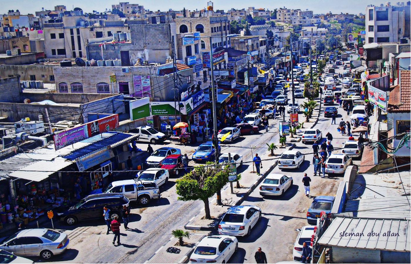 بلدية الظاهرية