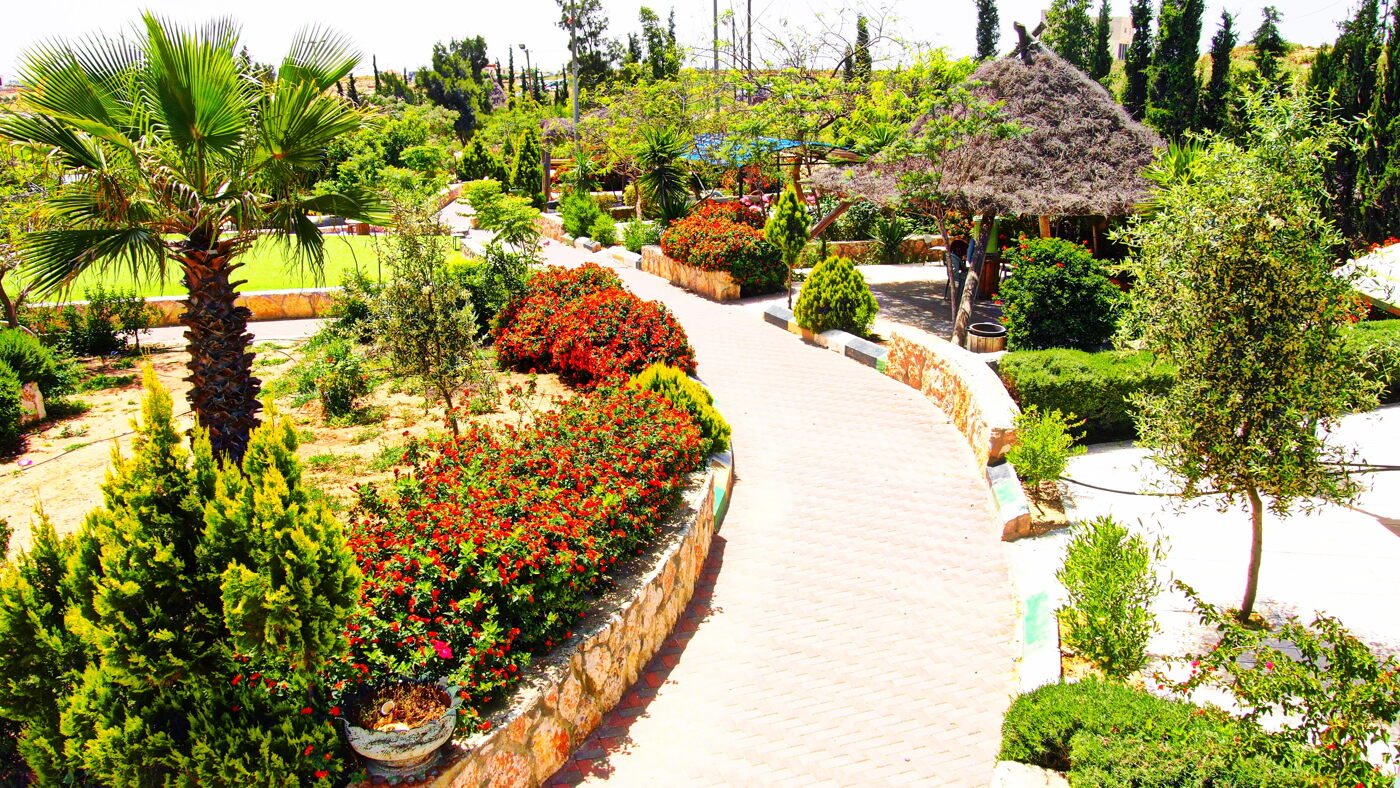 Projects & Facilities