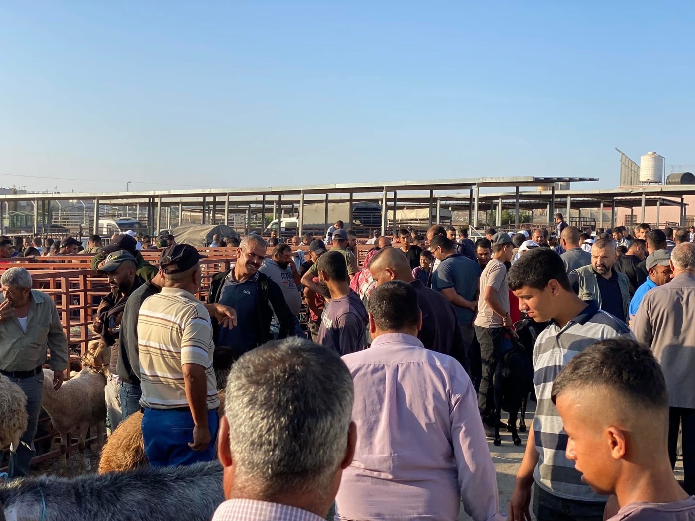 بلدية الظاهرية