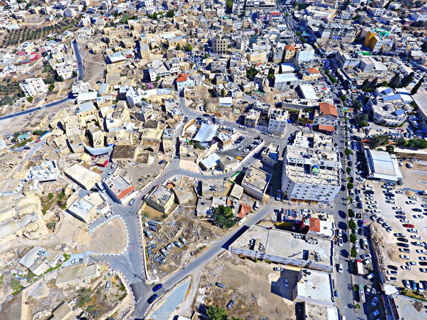 نشرة بلدية الظاهرية